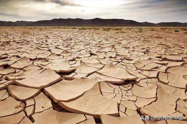 秋燥如何破,秋燥怎么办五款茶饮润秋燥