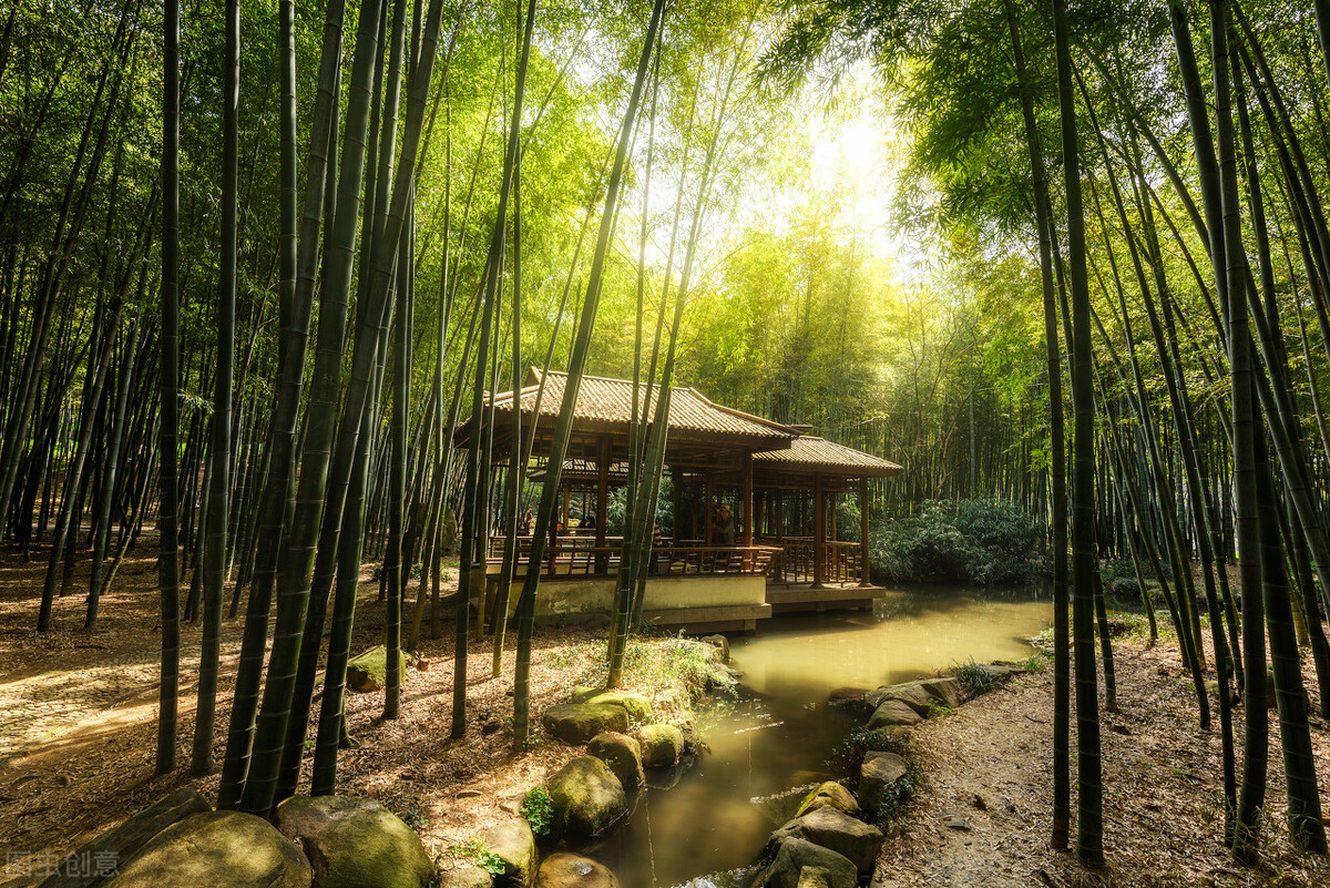 涓轰粈涔堣嚜宸辨场鑼舵病鏈夊湪鑼堕濂藉枬,鑼堕娉¤尪鐨勬纭柟娉曞拰姝ラ瑙嗛