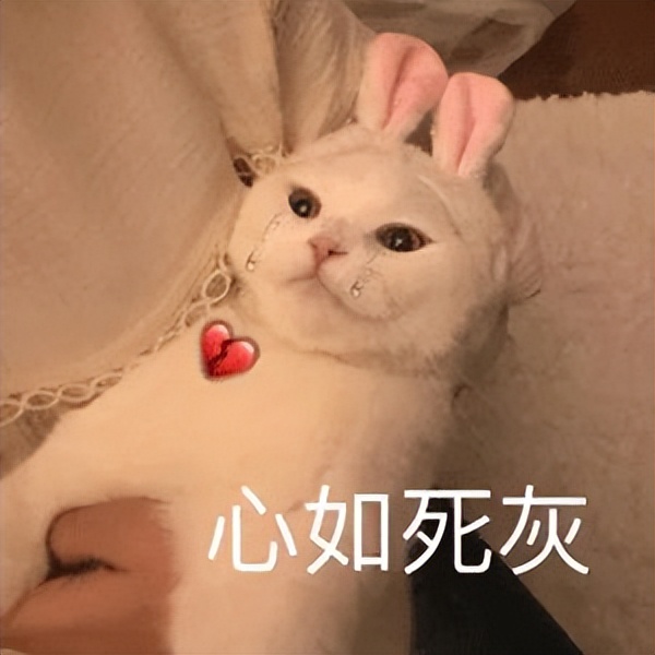 用酒店的毛巾会感染梅毒吗,用酒店的毛巾会感染吗