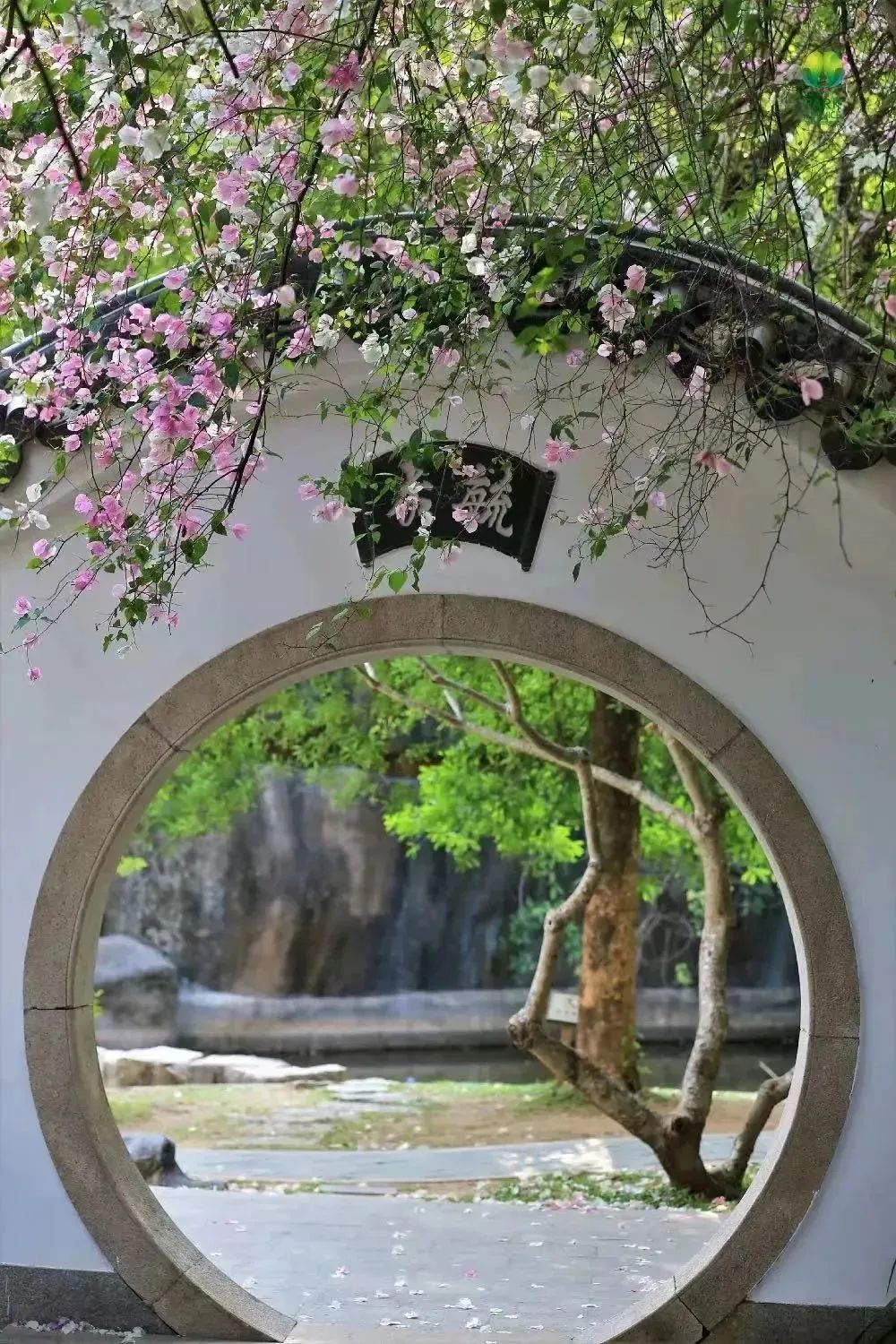 春天去哪儿玩？ABCD四条线路带你“狂飙”福田！