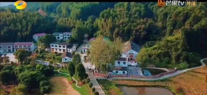 共读｜《云上的小店》：星光耀小河