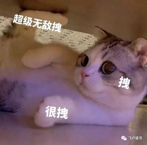 盘点网友那些脑洞大开的神回复,没有接不住的梗盘点十大神回复