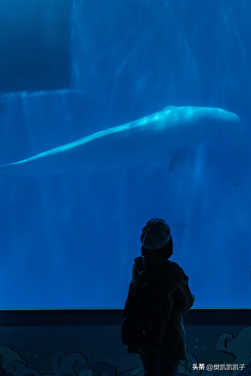 自驾游景点推荐江西赣南,赣南景点自驾游旅游攻略