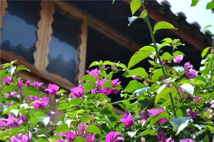 云南旅游全攻略自由行详细路程,自由行云南旅游攻略路线详细