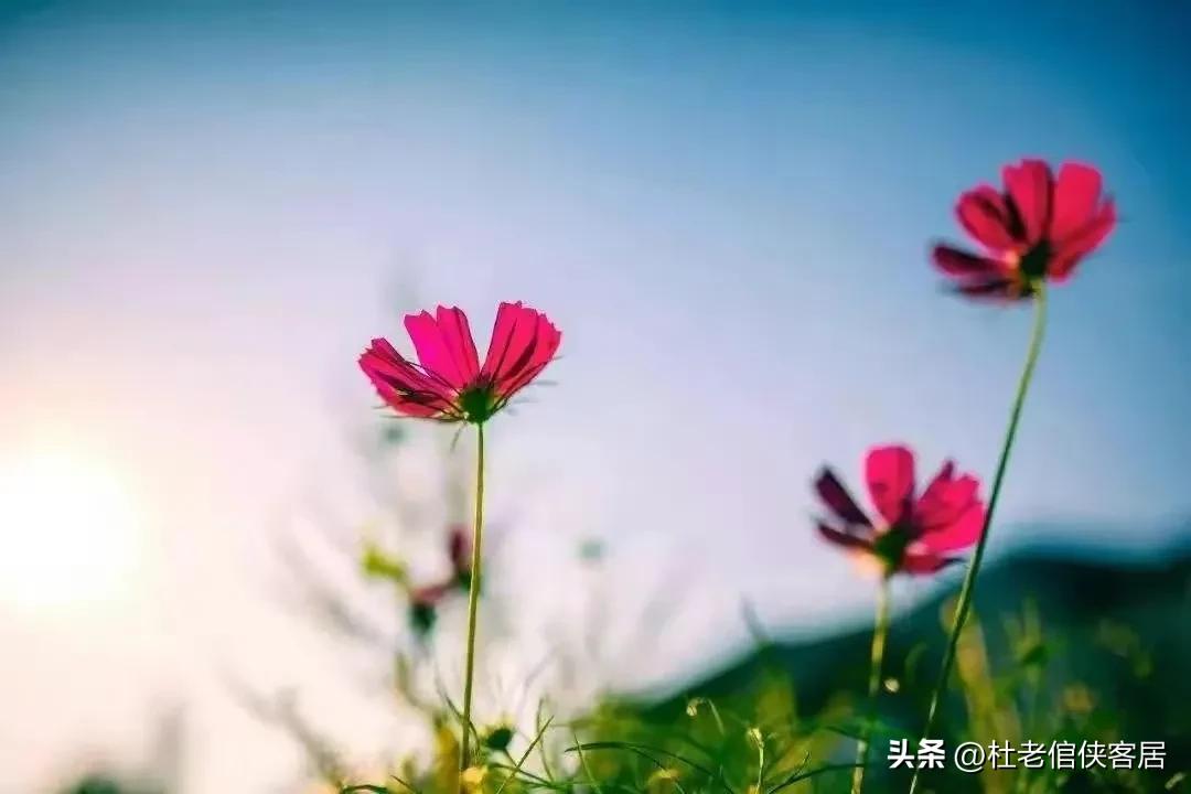 品读百味人生之阅读,品读百味人生之闲话幸福