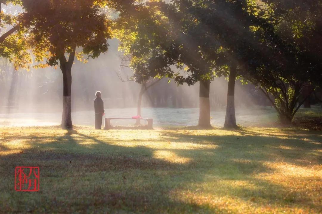 十大健身林荫步道,南京极美长江