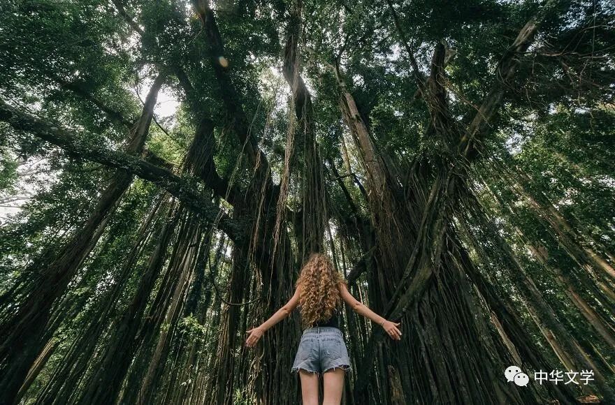 她们追逐在潮湿的花枝上我抖去黑暗直视夜空播种下一次奇迹的诞生