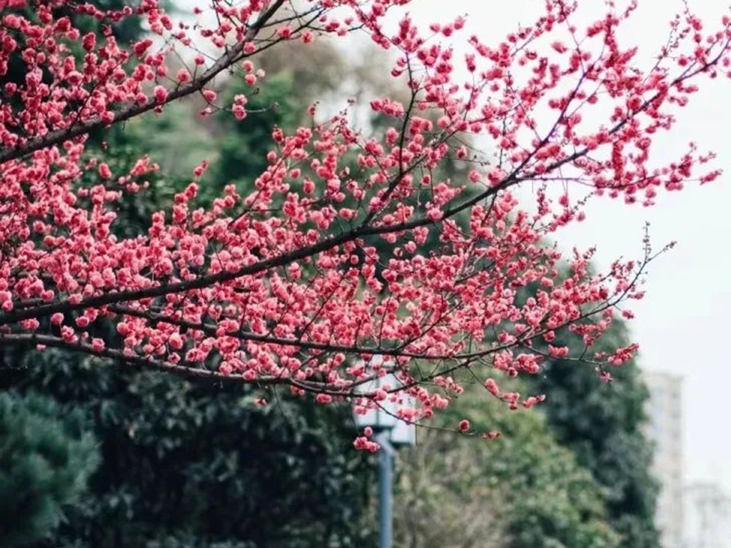 文章的标题怎么写好看又简单,怎么写好文章标题