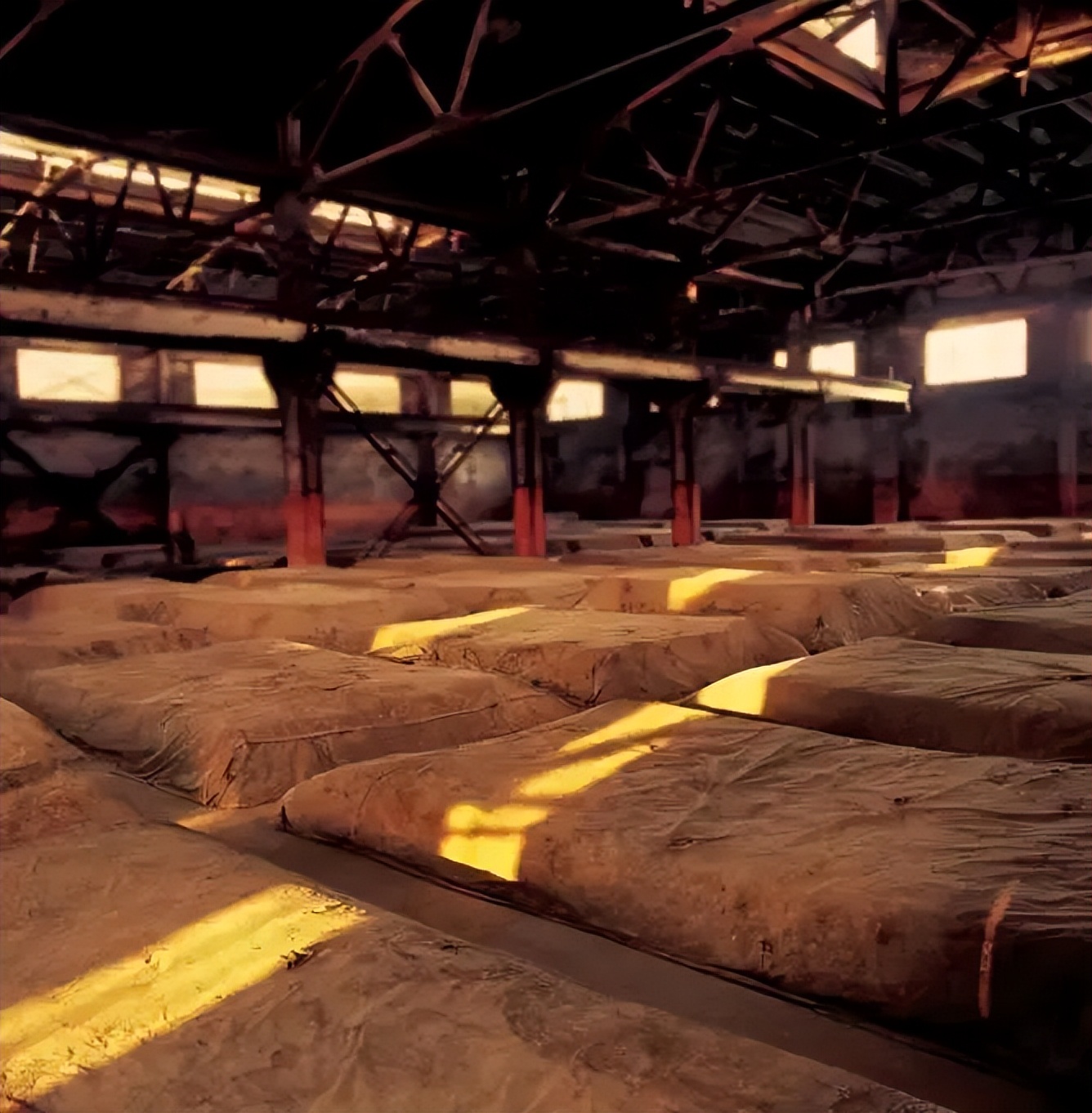 国际权威赛事！邛酒获双金奖、金奖！