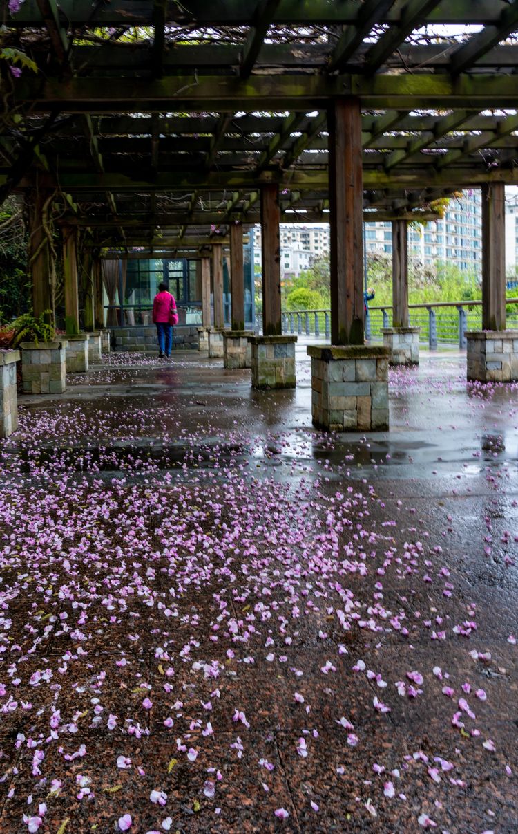 烟雨千岛湖美景,千岛湖烟雨朦胧美如画
