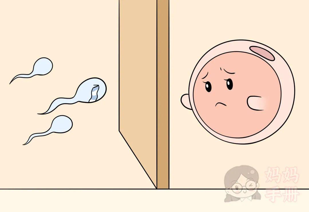 多名妙龄女子惨遭侵害揭露人性,1亿单身女性背后的残忍真相