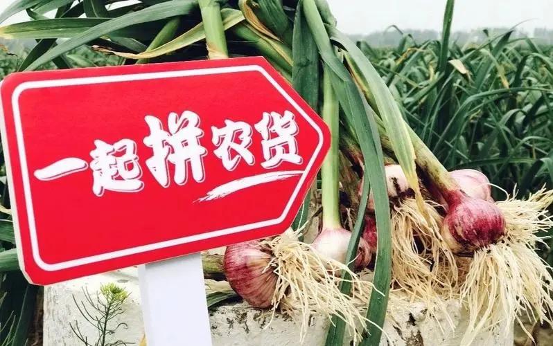 拼多多讲了一个什么故事,拼多多如何实现战略转变