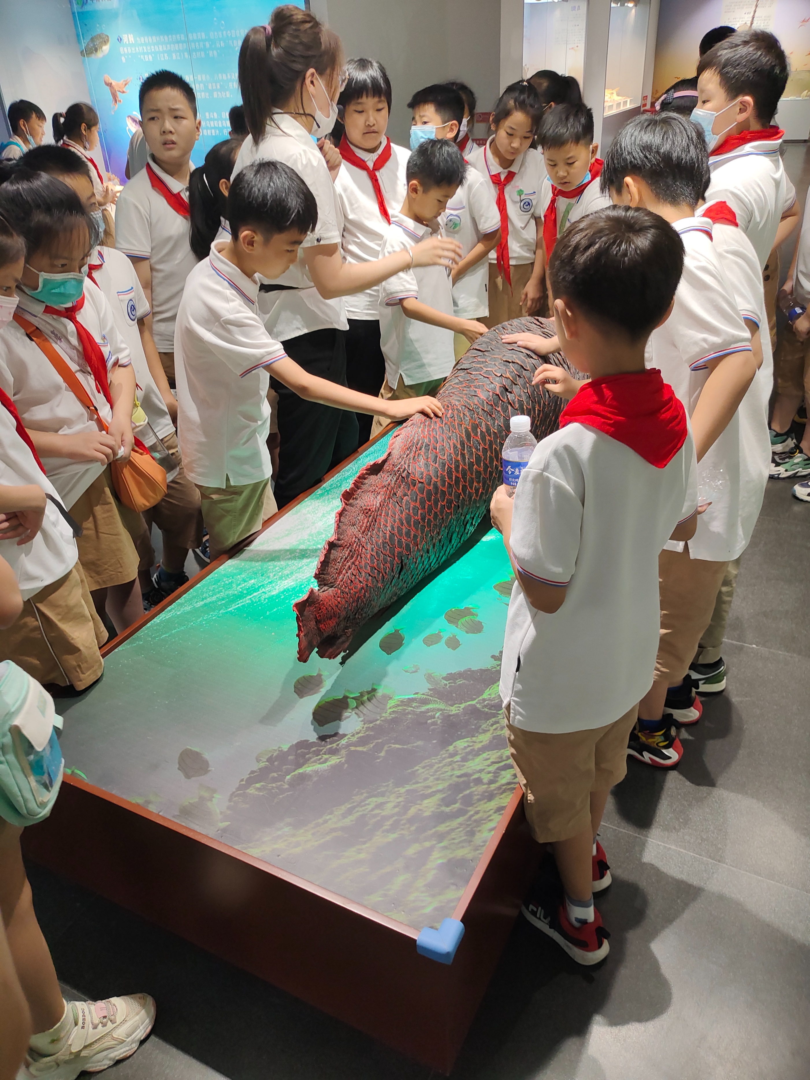 郑州九区遛娃游玩排行榜前十名,郑州春节遛娃的好地方