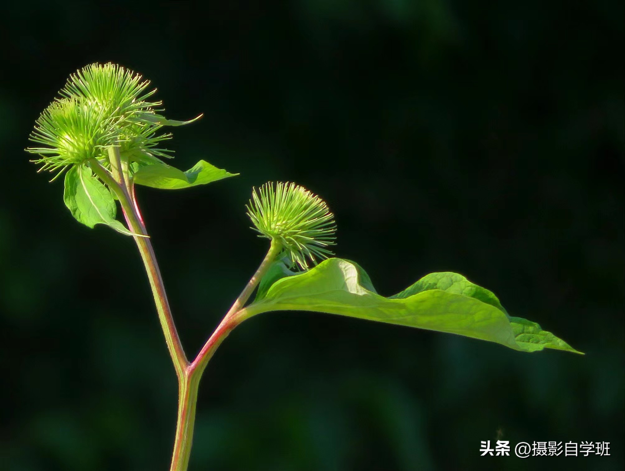第二十一届摄影作品征稿,摄友投稿图片