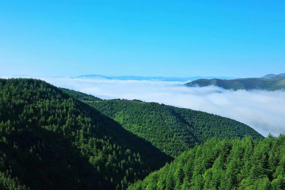 天然氧吧养生避暑,洗肺养心醒脑的天然大氧吧