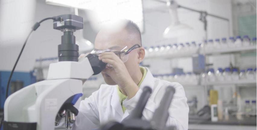 四新新材料新工艺新技术,四新技术中新技术有哪些