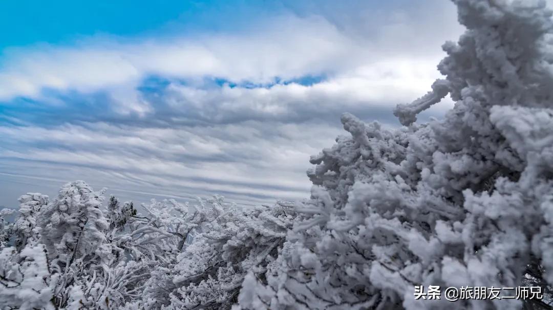 清远金子山旅游攻略看雾凇,广东金子山雪景旅游攻略
