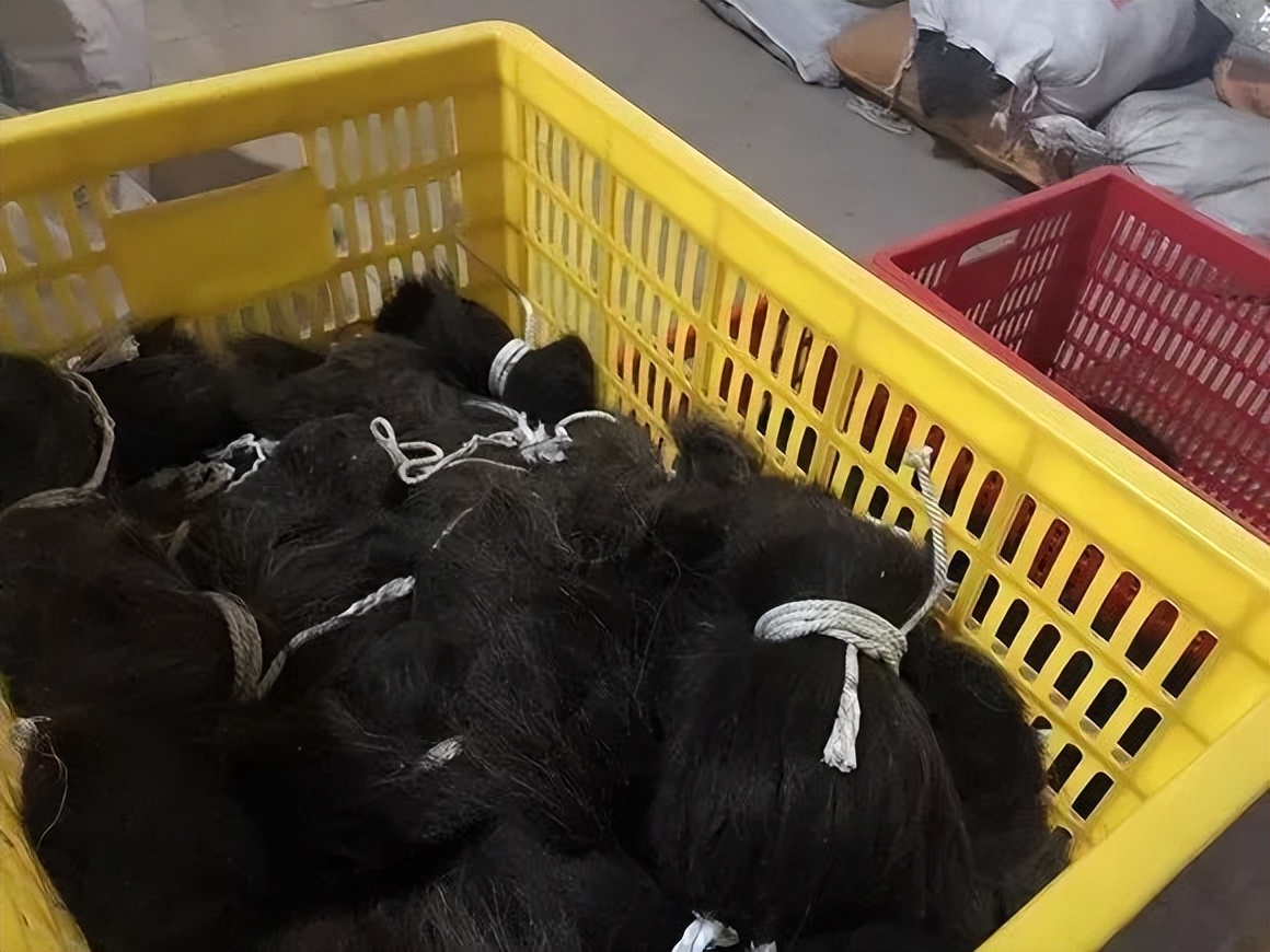 听说在非洲卖中国假发，可以轻松实现财富自由？