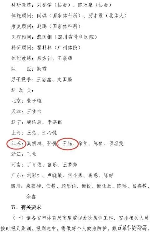 荣耀国家队成员,荣耀国家队