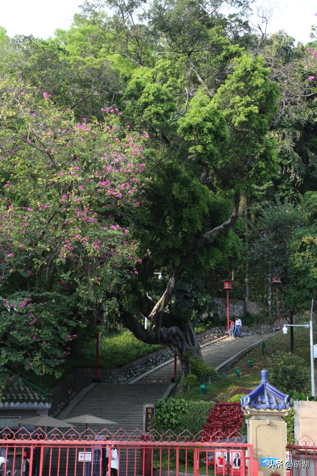 慢下来看风景静下来陶冶情操,慢下来享受安静的惬意时光