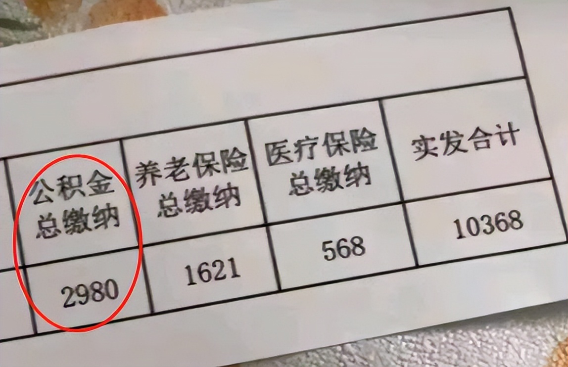 00后进入*草烟**后晒工资条，公积金数额“很亮眼”，说不羡慕是假的