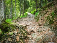 2023年11项值得关注的临床试验,世界公认十大失败案例视频