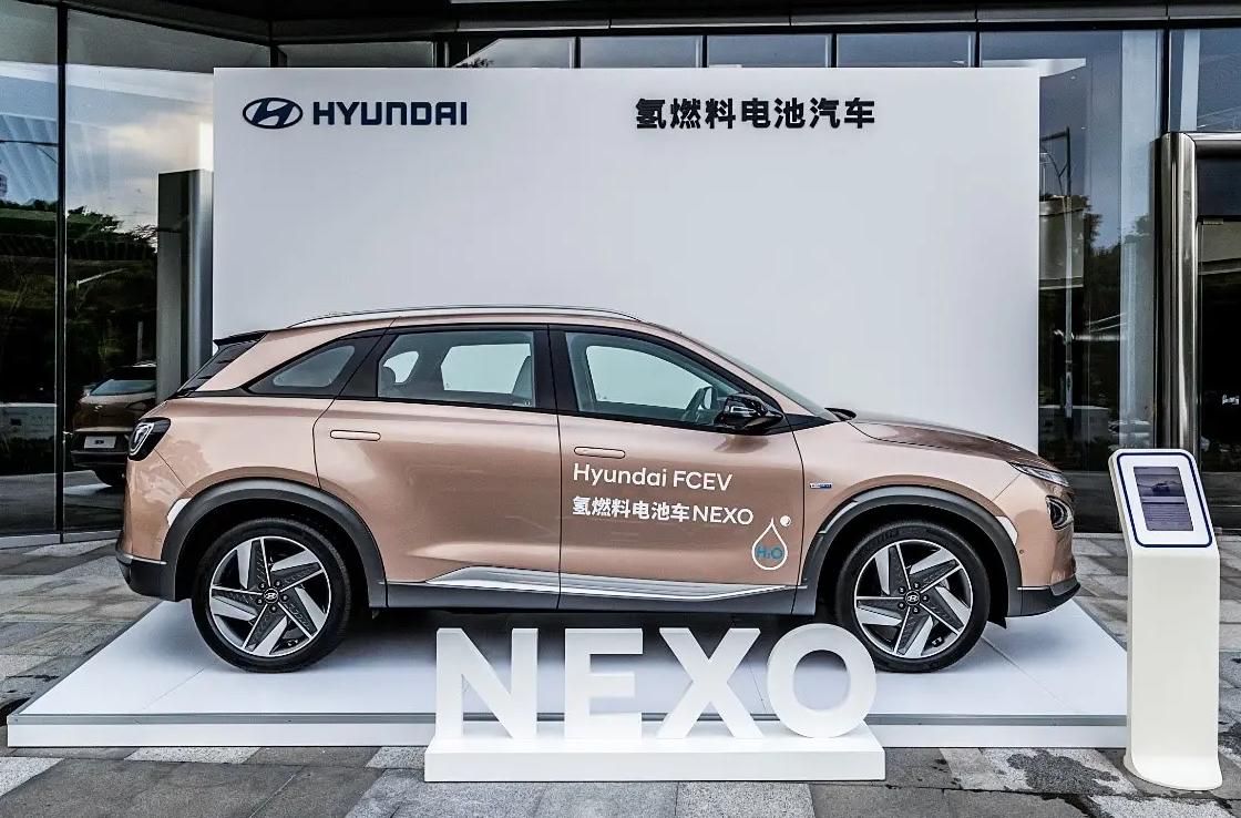 韩国特斯拉与比亚迪,比亚迪进入韩国了吗