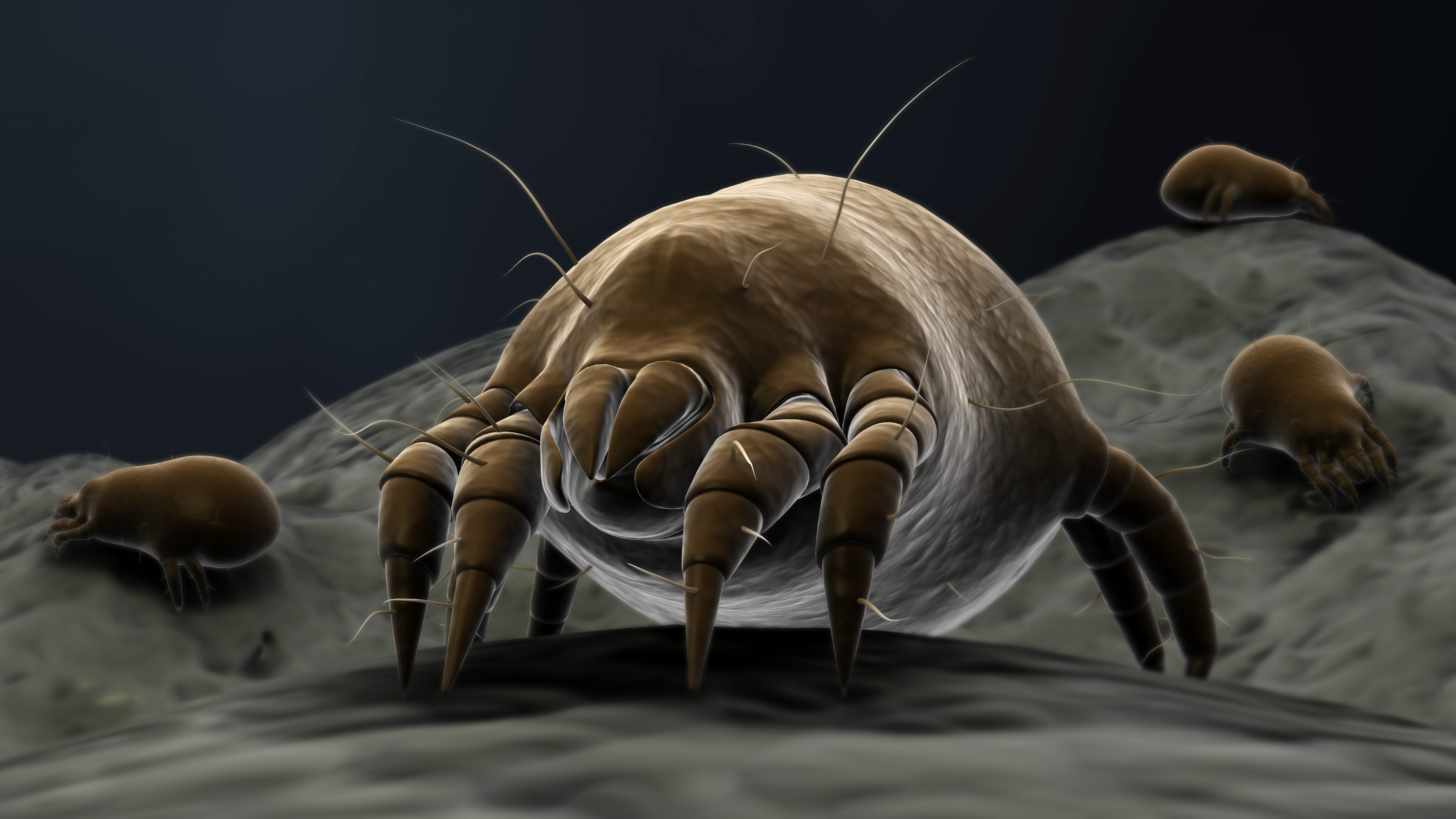 一到晚上就痒得睡不着用什么药,什么虫子会导致晚上身子痒