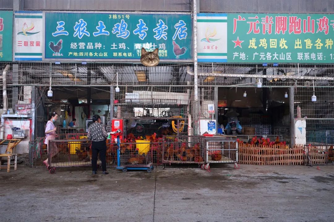 三联鸡鸭市场在哪里,三联市场家禽