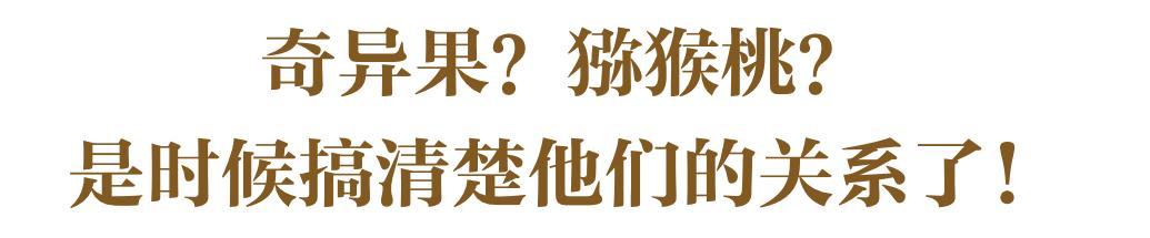 国产猕猴桃和进口奇异果,国产奇异果猕猴桃