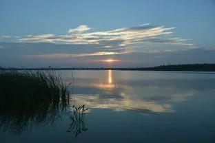 当你心累，万念俱灰，快撑不下去时这样调整自己