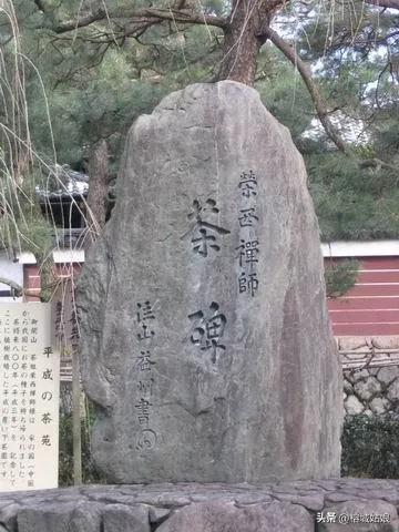 茶港历程,东方茶港历史