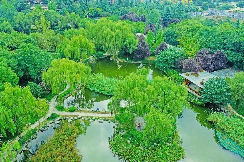 唐城墙遗址公园有跑道吗,西安唐城墙遗址公园跑步