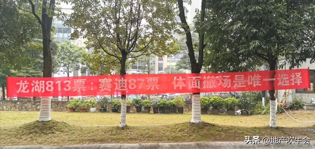 中冶北麓原业委会,中冶北麓园物业问题