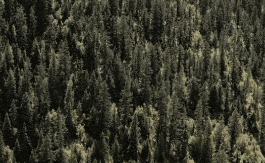 锋菲20年前,锋菲重逢