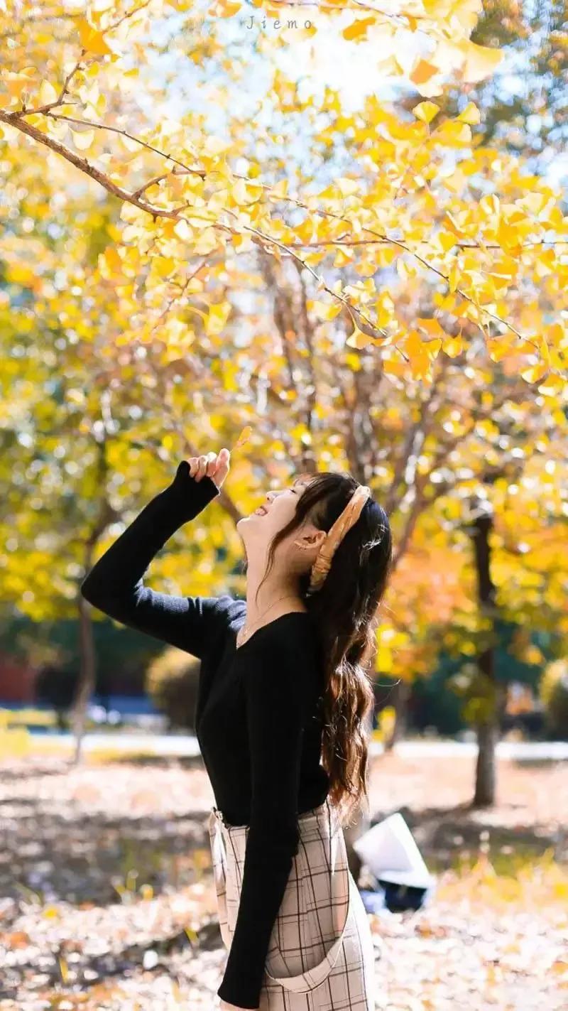 头条挑战赛：对《七律·秋兴（平水韵/孤雁出群格）》的引证解释