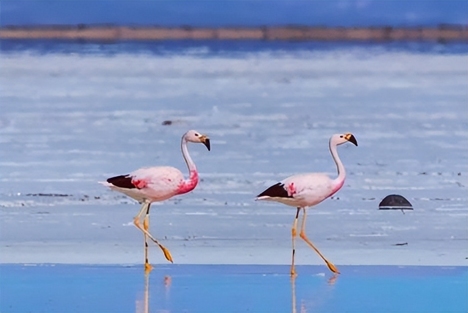 人生怎样活才合适,人生怎么才能活好自己