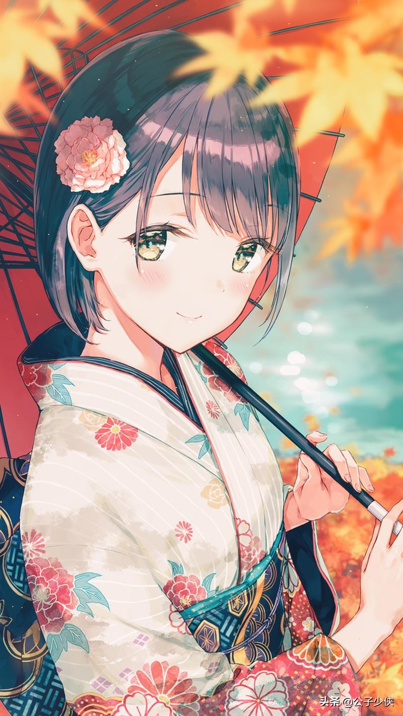 后宫小说女主角解析,后宫小说女主角全解析