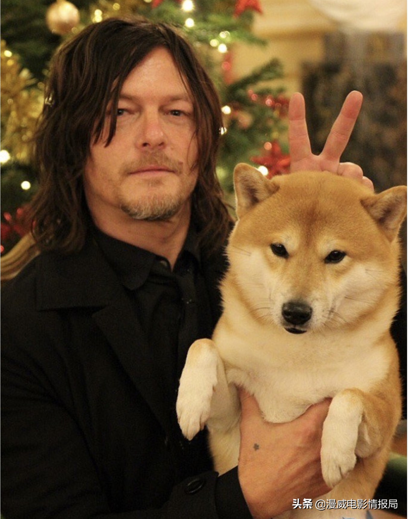 恶灵骑士所有演员,恶灵骑士的主演是谁