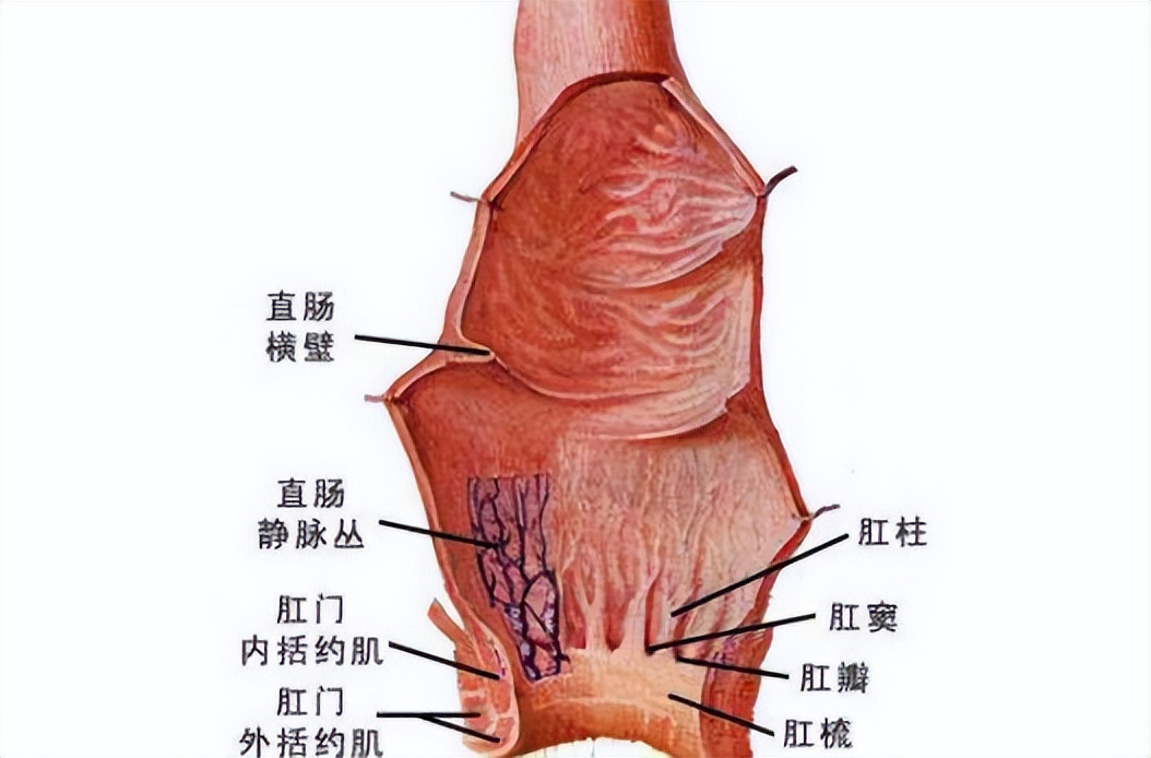老人便秘抠破了大肠里都是血,便秘用筷子掏把直肠扎破怎么办
