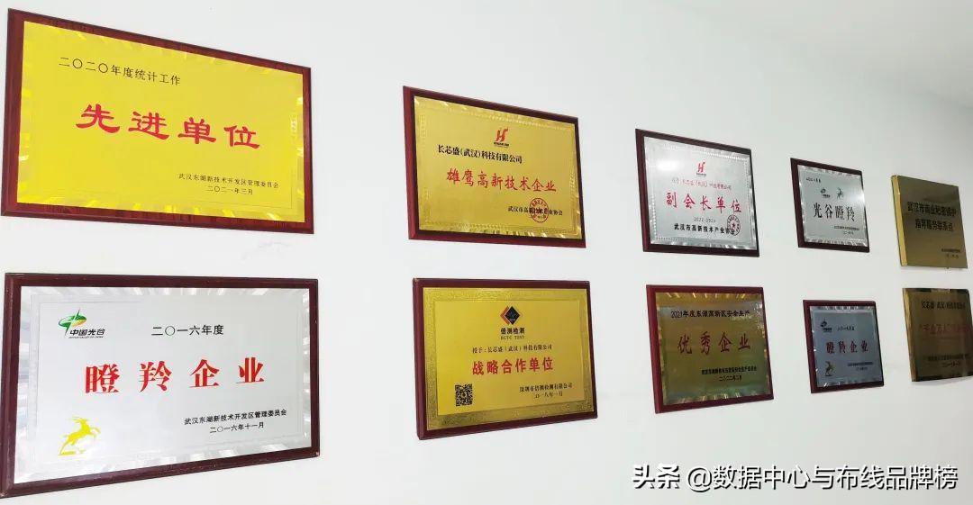 长芯盛荣登《高新视野》封面，彰显高新技术企业风采