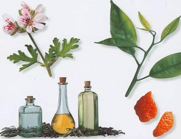 小白美容加盟店推荐哪家,美容品牌加盟创业项目推荐