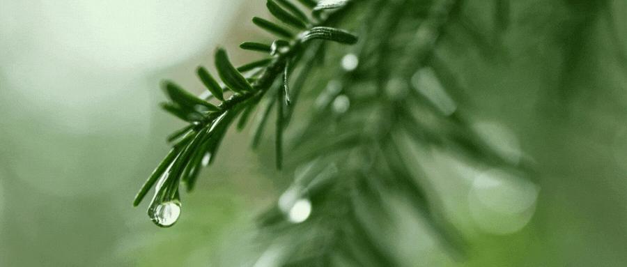 银行零售业发展现状及未来趋势,2020年银行零售形势