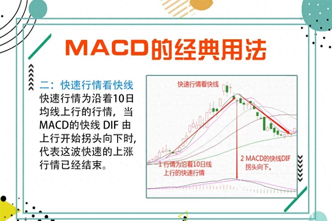献给所有股票亏损的人,写给所有在中国亏损的散户