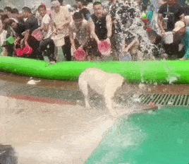 去云南过泼水节要注意什么,第一次过云南泼水节