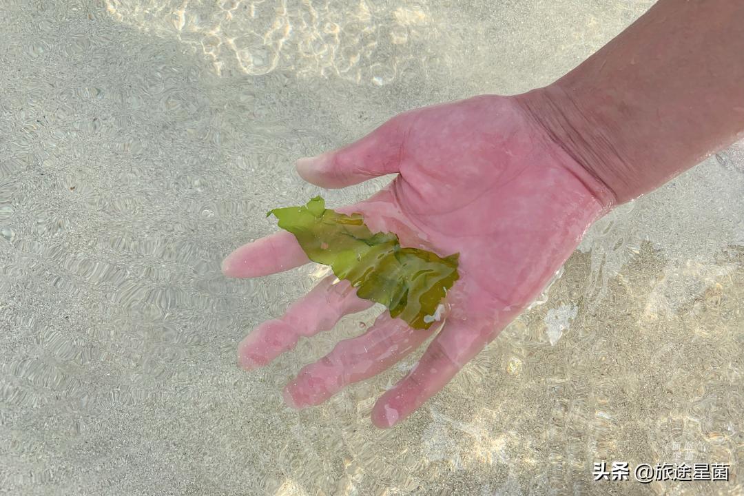 韩国|九月初的济州岛，时有风，偶有雨