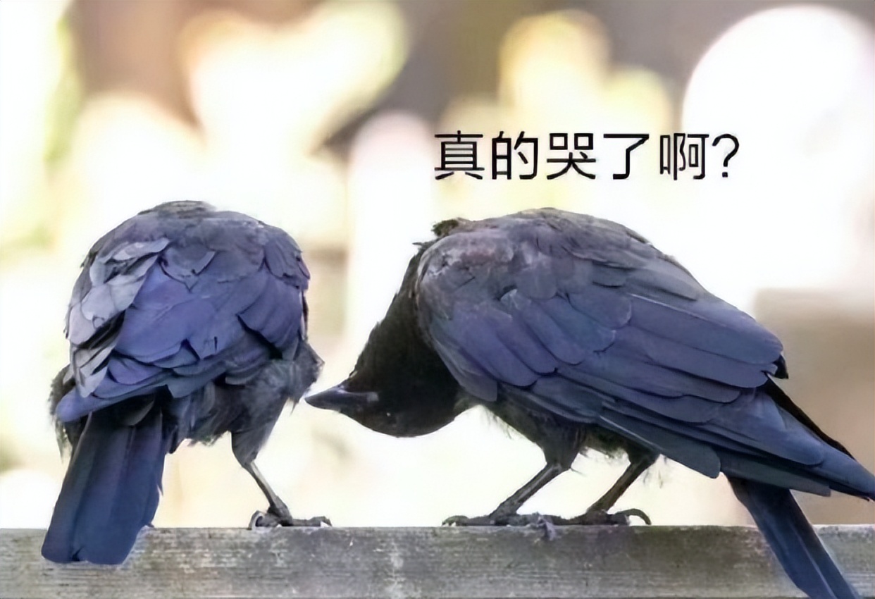 炎亚纶道歉引发争议,炎亚纶事件发布会