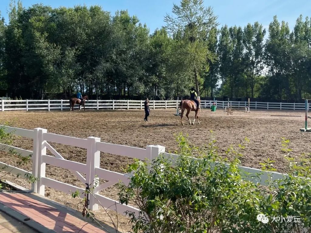 打卡北京这个超级亲子度假村！见识了遛娃界天花板，奉上超全攻略
