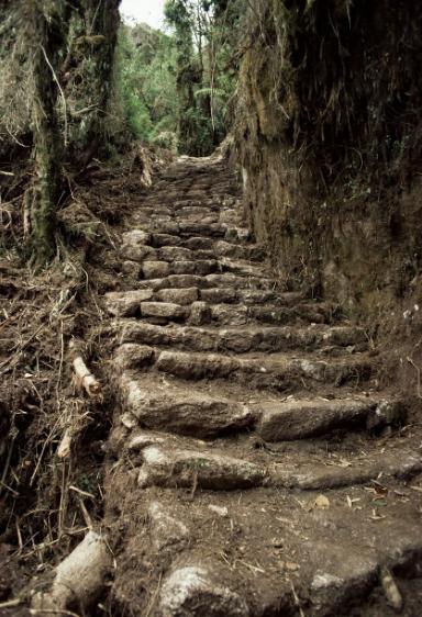 茶马古道文化研究最权威的人,茶马古道对于民族融合的影响