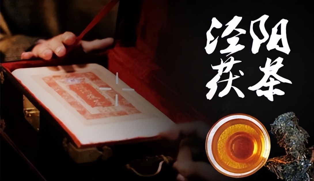 泾阳茯茶好坏鉴别,如何鉴别泾阳茯茶